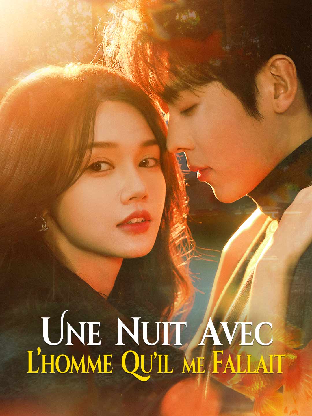 [Doublé] Une nuit avec l’homme qu’il me fallait
