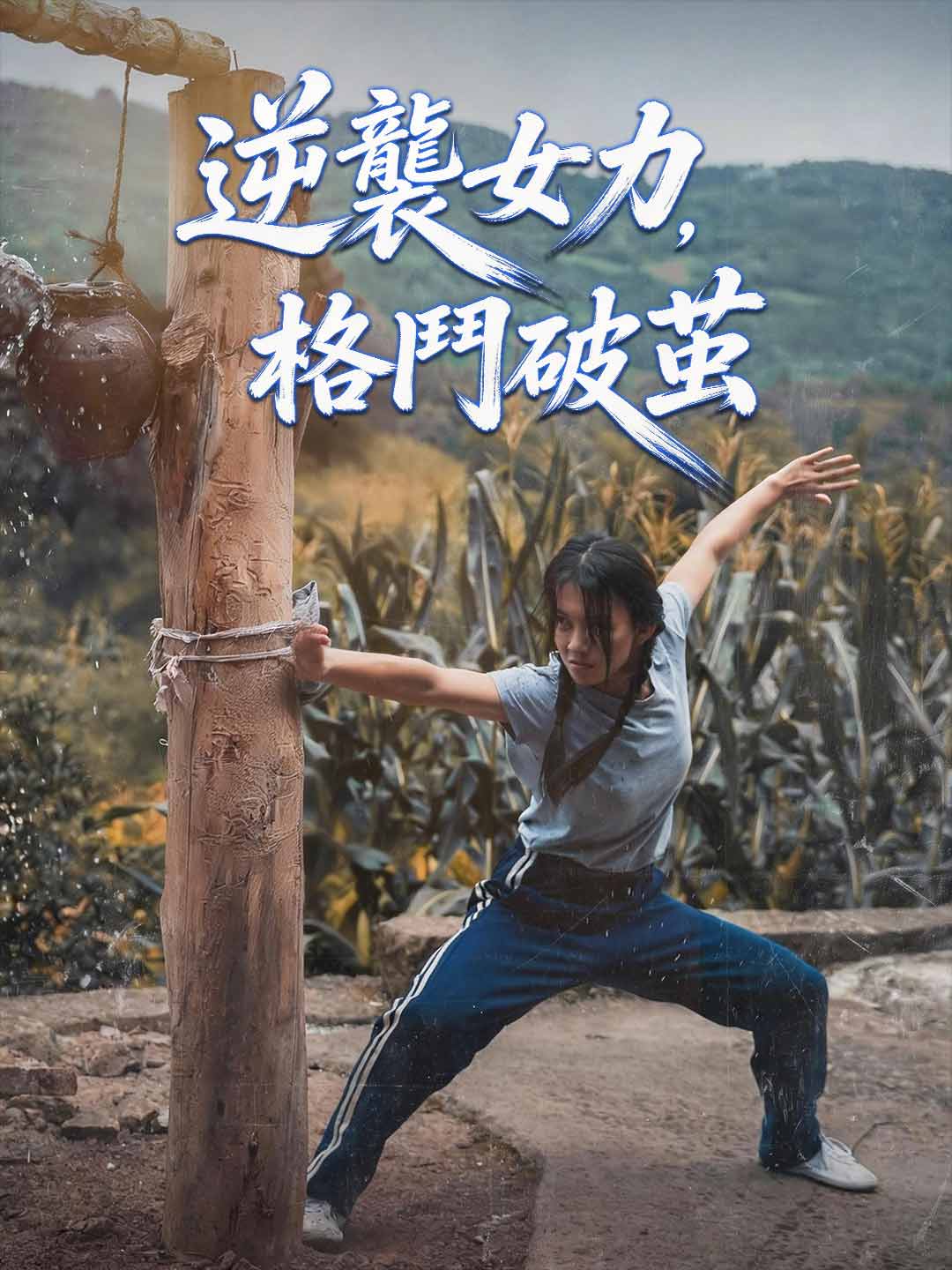 逆襲女力,格鬥破茧