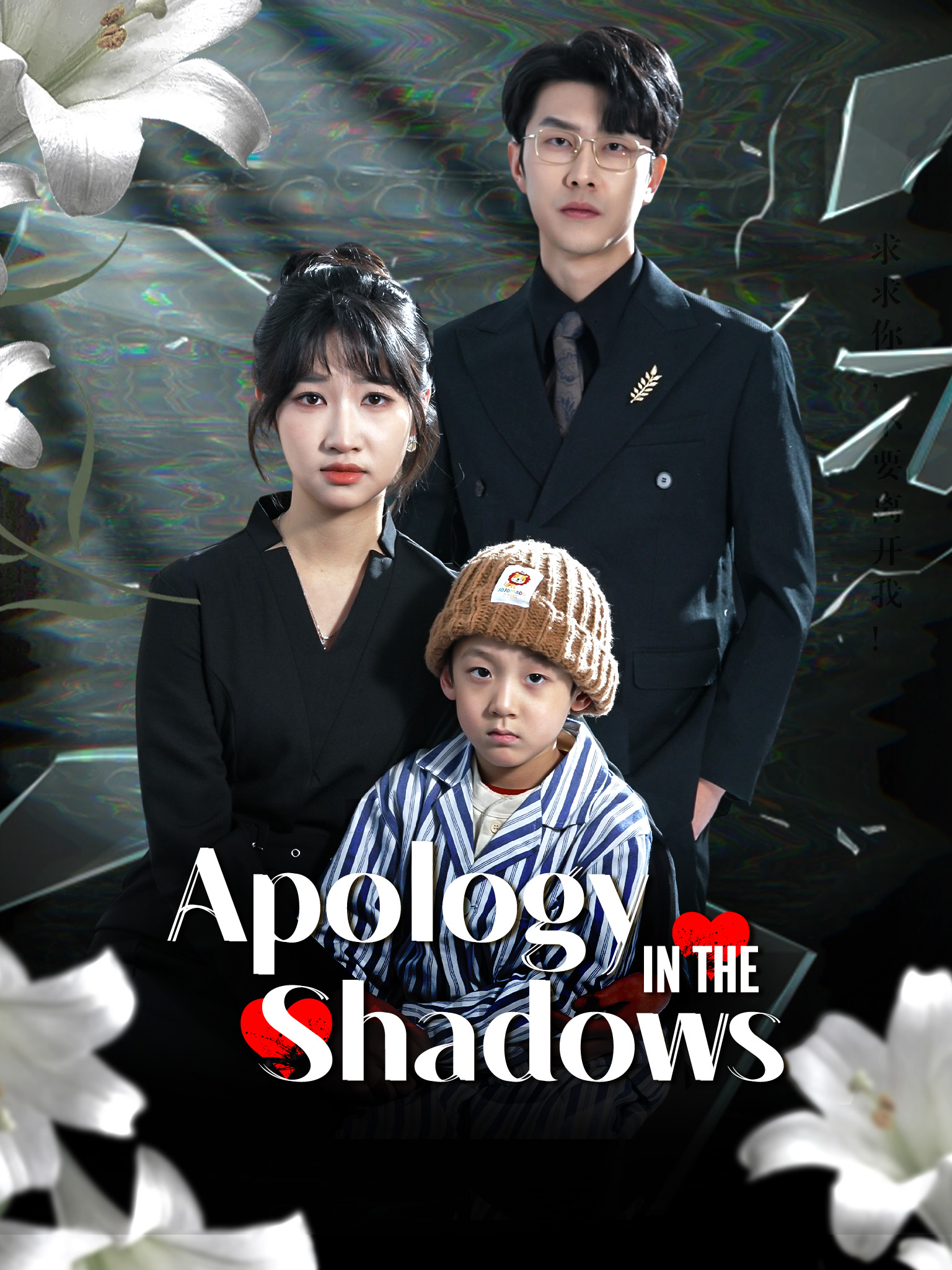 Apology in the Shadows