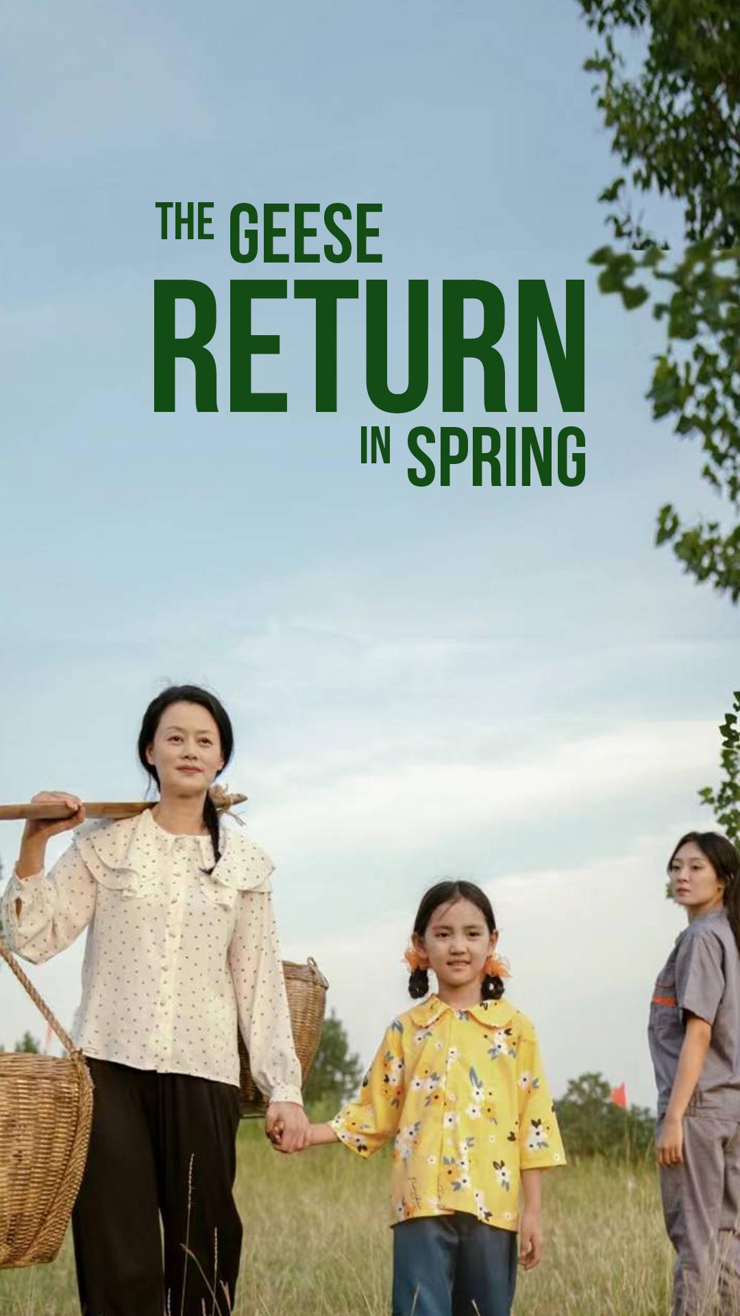 The geese return in spring