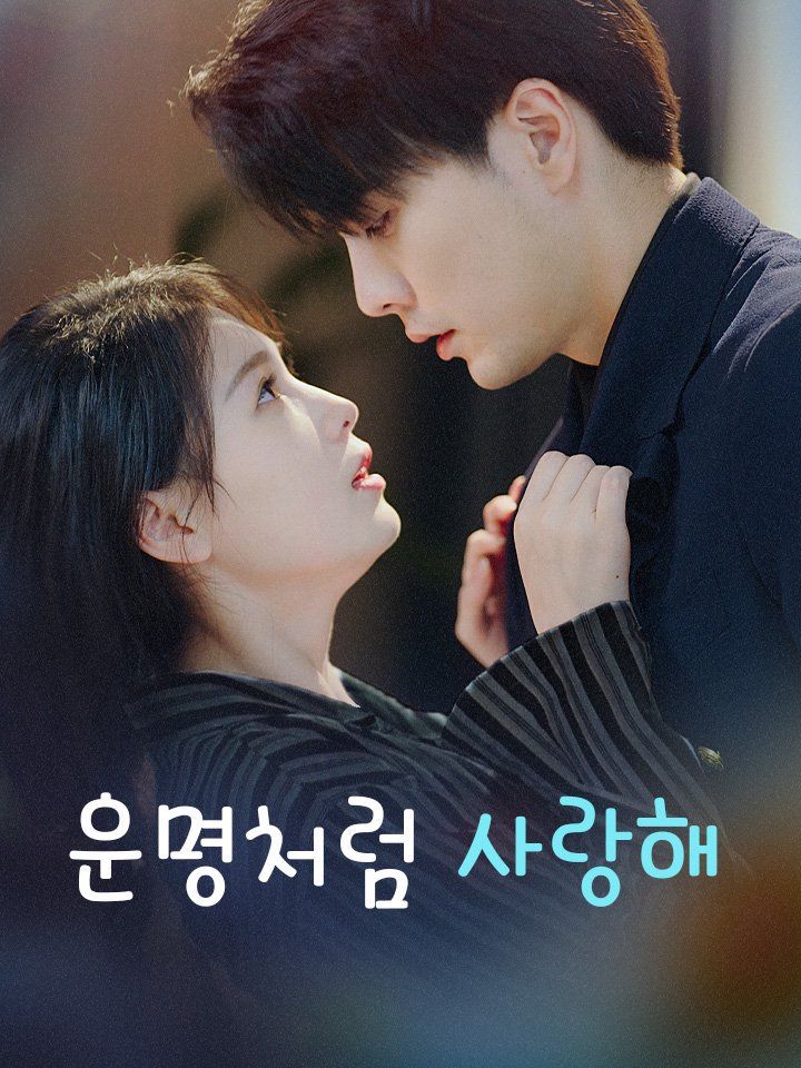 운명처럼 사랑해