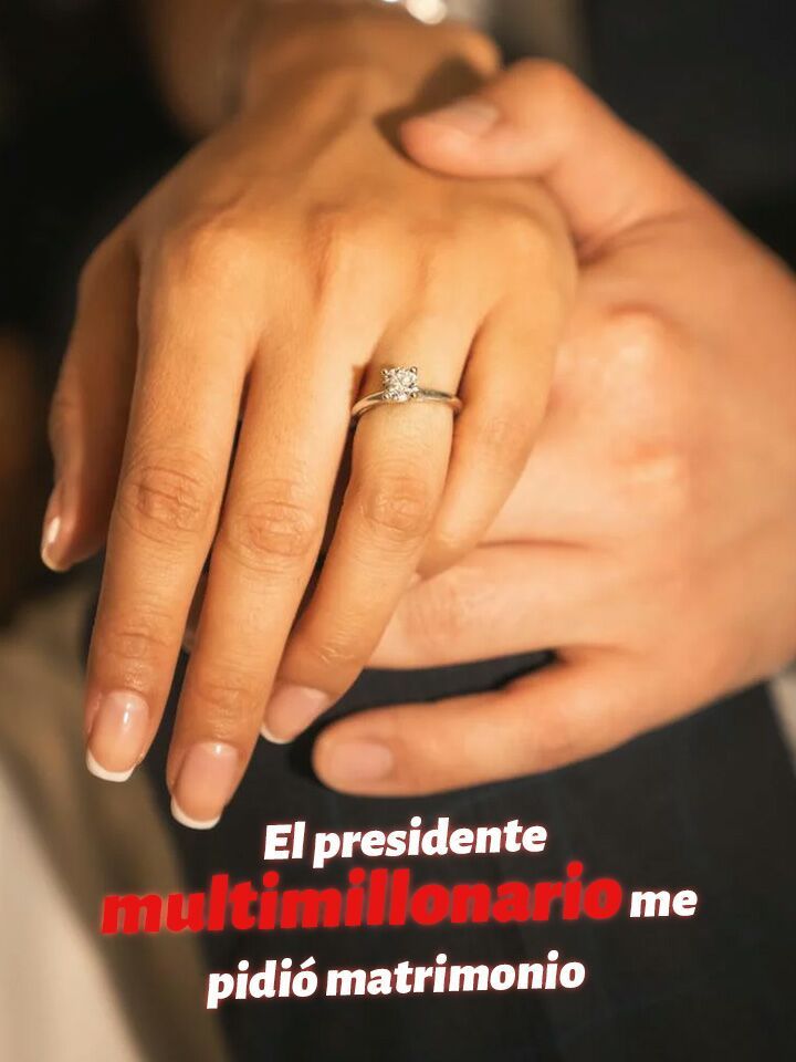 El presidente multimillonario me pidió matrimonio
