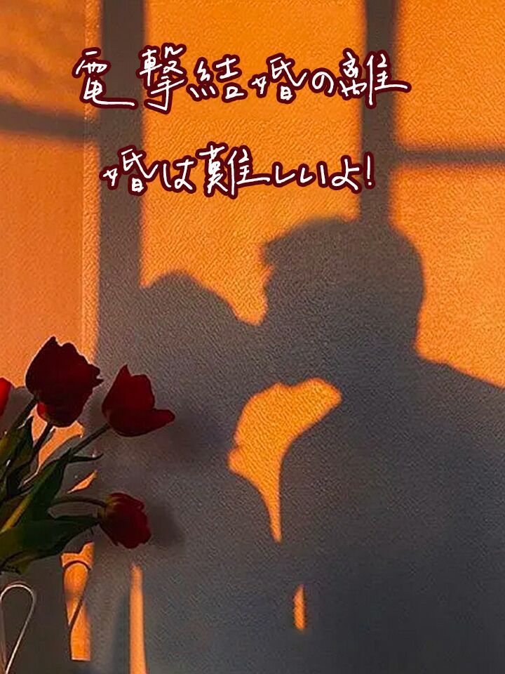 電撃結婚の離婚は難しいよ!