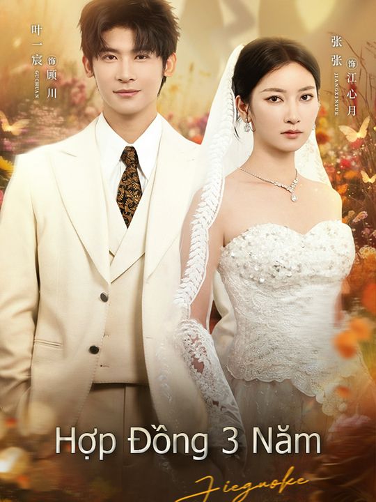 Hợp Đồng 3 Năm