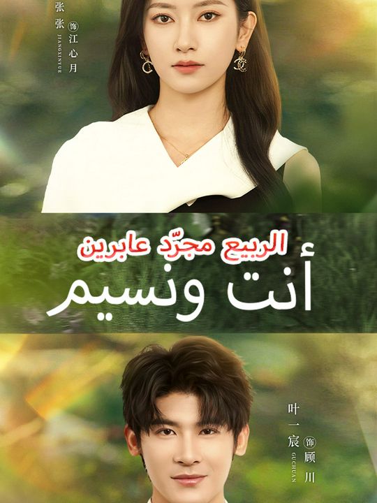 أنت ونسيم الربيع مجرّد عابرين