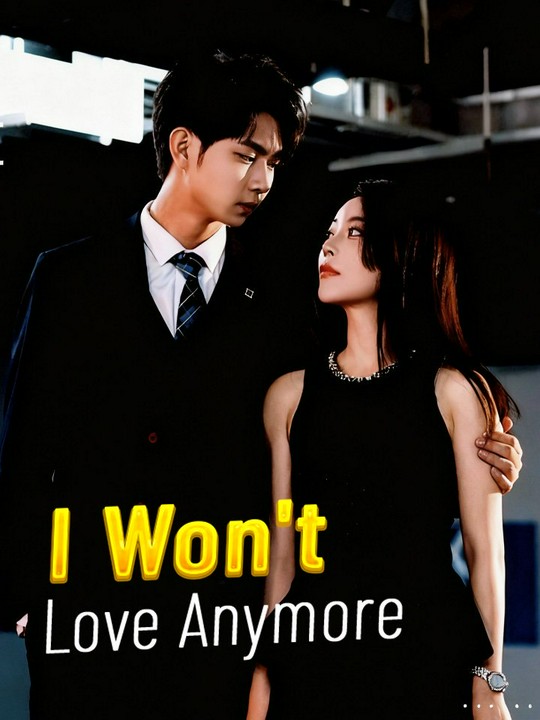 I Won't Love Anymore