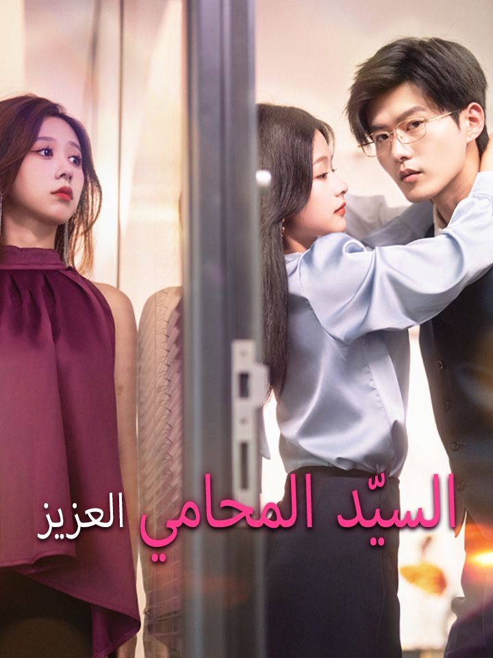 السيّد المحامي العزيز