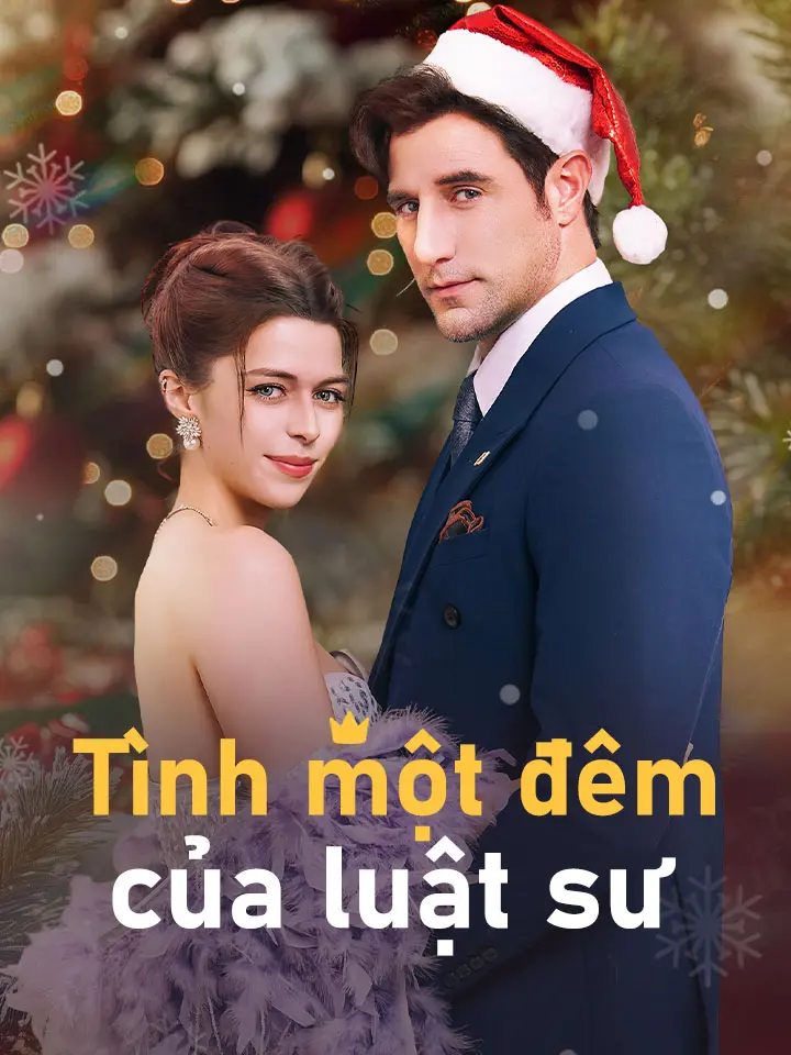 Tình một đêm của luật sư