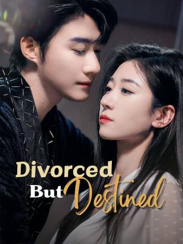 Divorced But Destined