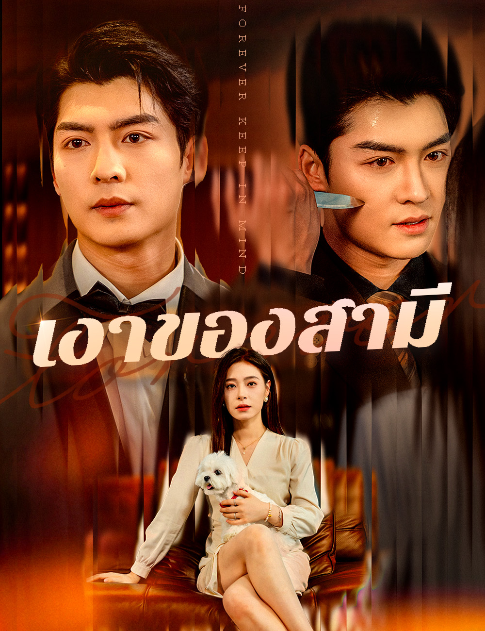 เงาของสามี