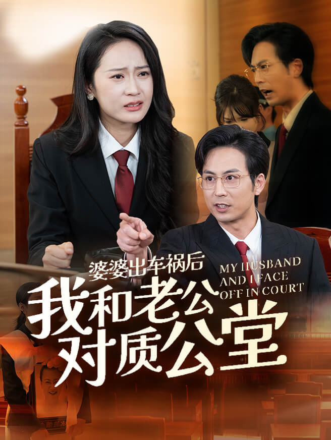 婆婆出车祸后我和老公对质公堂