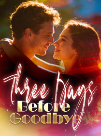 Three Days Before Goodbye