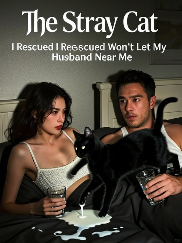 The Stray Cat I Rescued Won’t Let My Husband Near Me