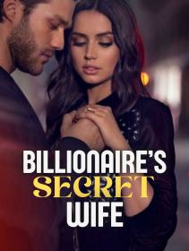 Billionaire's Secret Wife