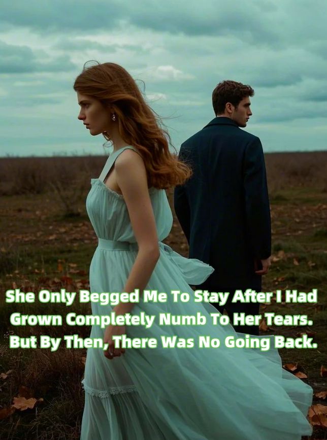 She Only Begged Me To Stay After I Had Grown Completely Numb To Her Tears. But By Then, There Was No Going Back.