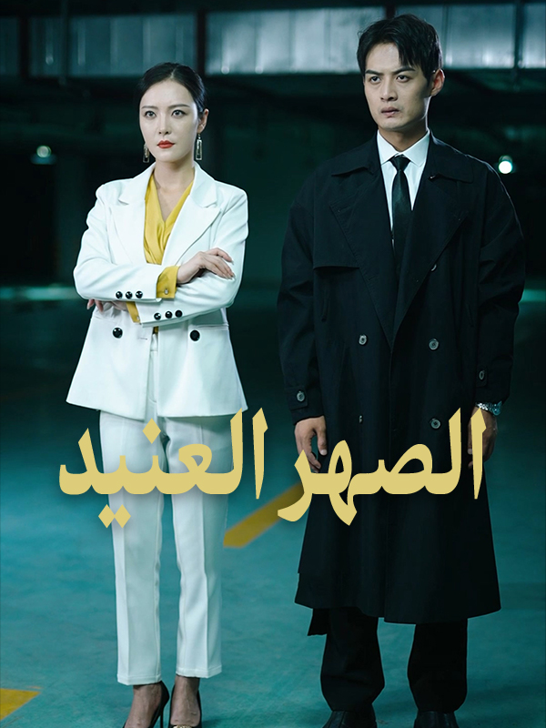 الصهر العنيد