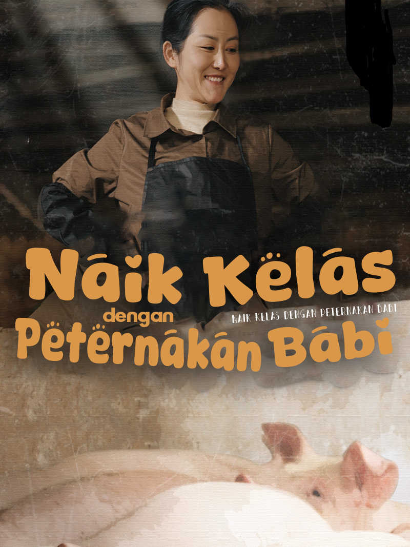 Naik Kelas dengan Peternakan Babi