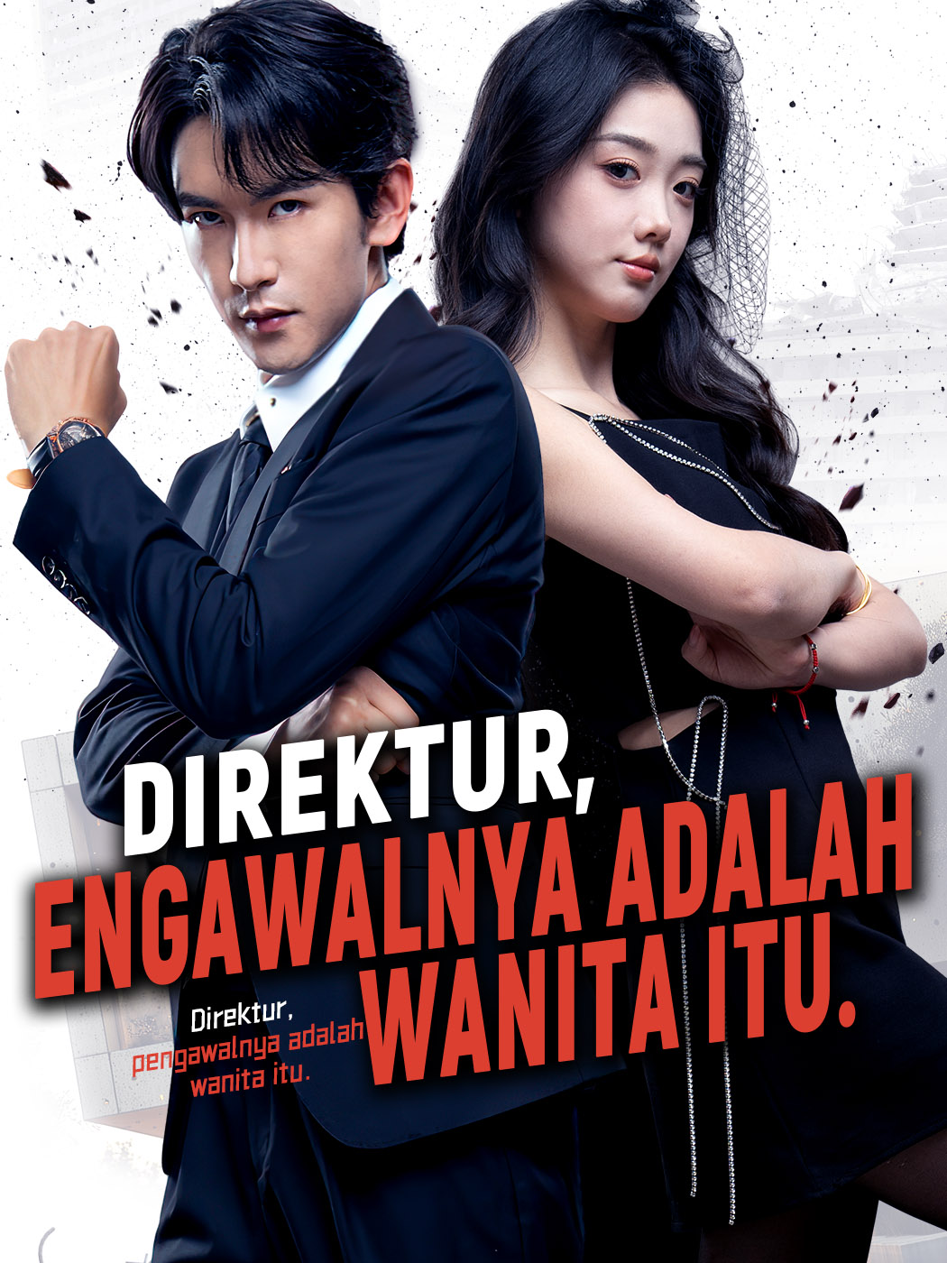 Direktur, pengawalnya adalah wanita itu.
