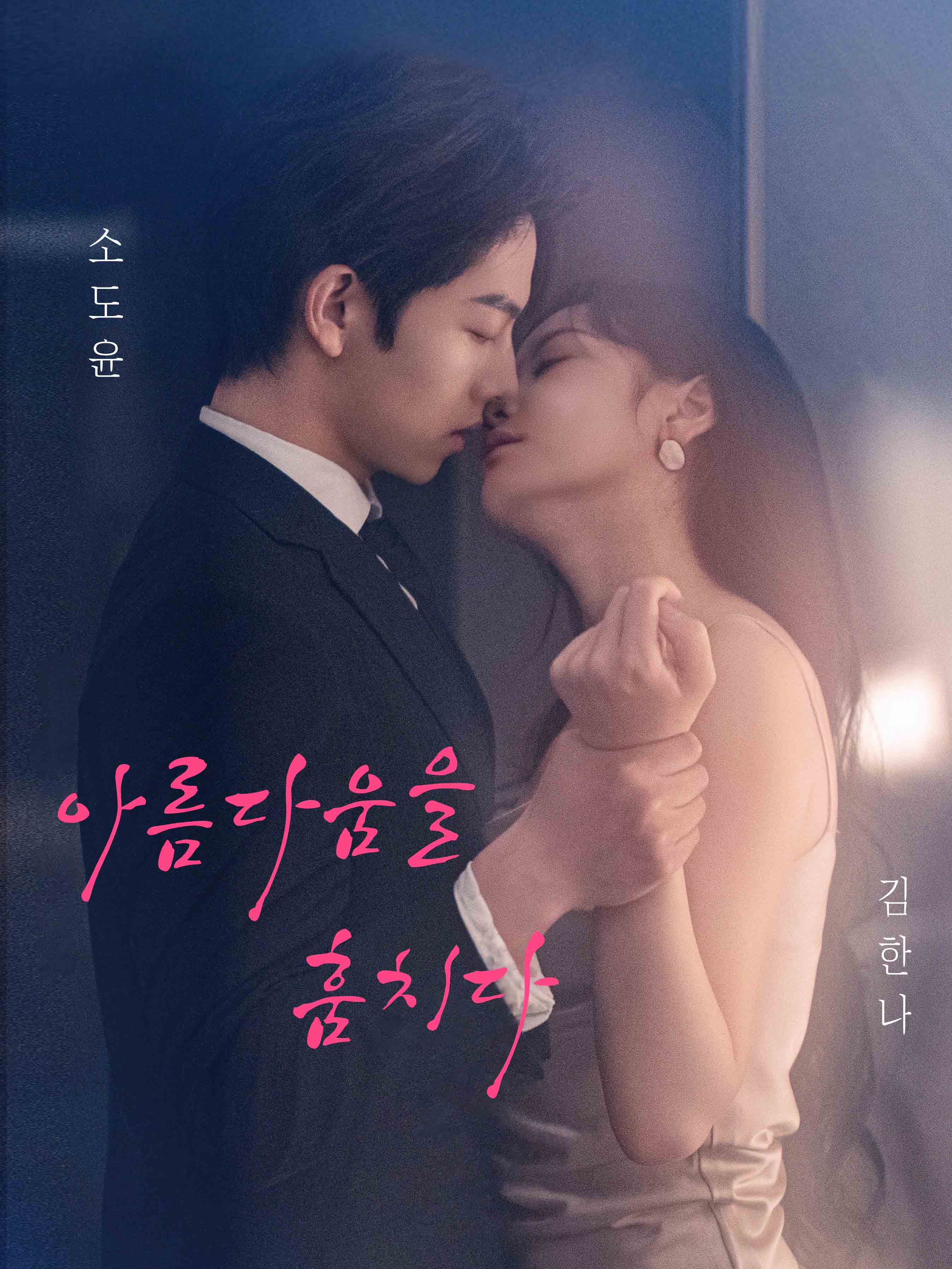 아름다움을 훔치다