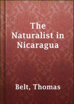 The Naturalist in Nicaragua