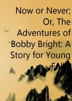 Now or Never; Or, The Adventures of Bobby Bright: A Story for Young Folks