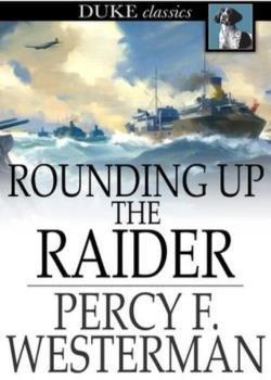Rounding up the Raider: A Naval Story of the Great War