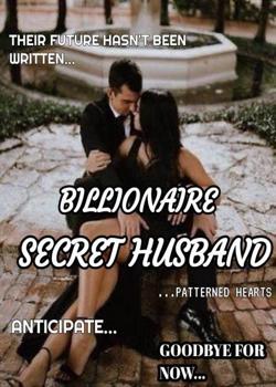 Billionaire Secret Husband