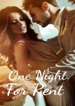 One Night For Rent
