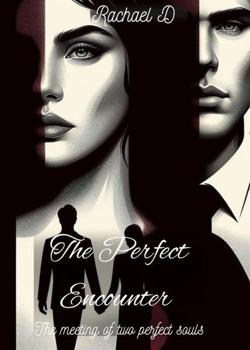 The perfect encounter