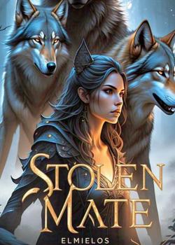 Stolen Mate