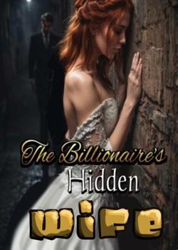The Billonarie's Hidden Wife