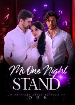 Mr one night stand