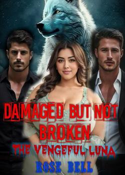 Damaged, but not Broken (Book 1)