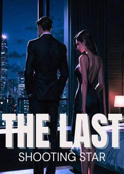 THE LAST SHOOTING STAR