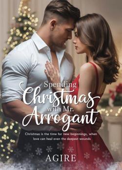 Spending Christmas with Mr arrogant