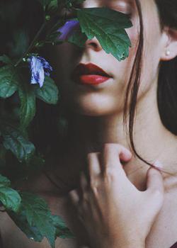 Bound by Blood and Fate
