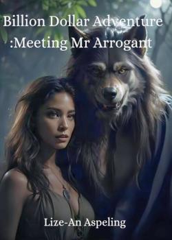 Billion dollar adventure : Meeting Mr Arrogant