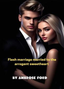 Flash marriage to the arrogant sweetheart