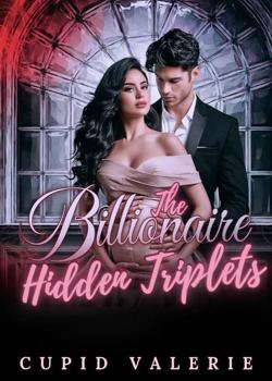 The Billionaire Hidden Triplets.
