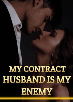 My Contract Husband is my Enemy, Mummy! Daddy wants you back