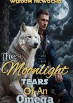 The Moonlight Tears Of An Omega