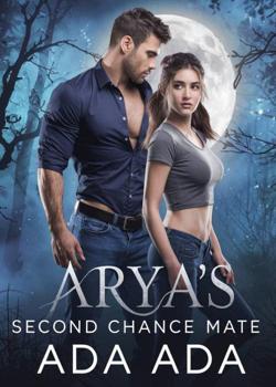 Arya's Second Chance Mate