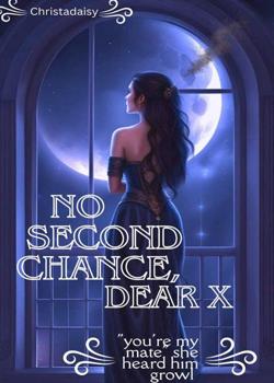 No Second Chance, Dear X
