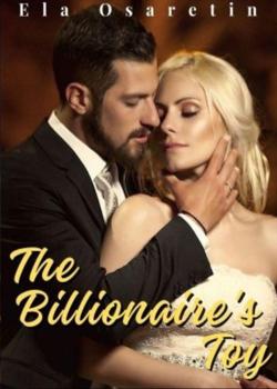 The Billionaire's Toy?!