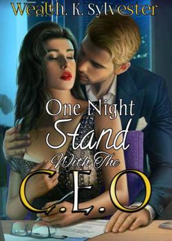 ONE NIGHT STAND WITH THE CEO
