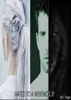 Mated to a Werewolf