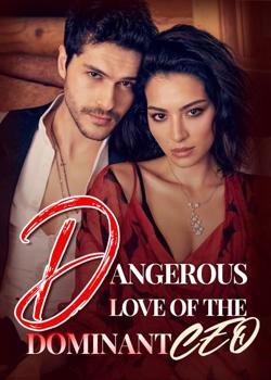 Dangerous Love Of The Dominant CEO