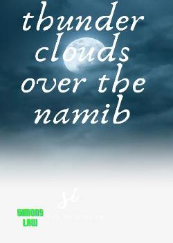 Thunderclouds over the Namib