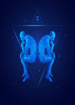 THE TWINS