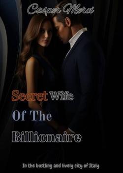 Secret Wife Of The Billionaire